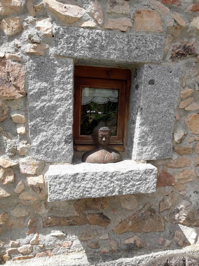 El Solei Paraiso En El Montseny Arbúcies Dış mekan fotoğraf
